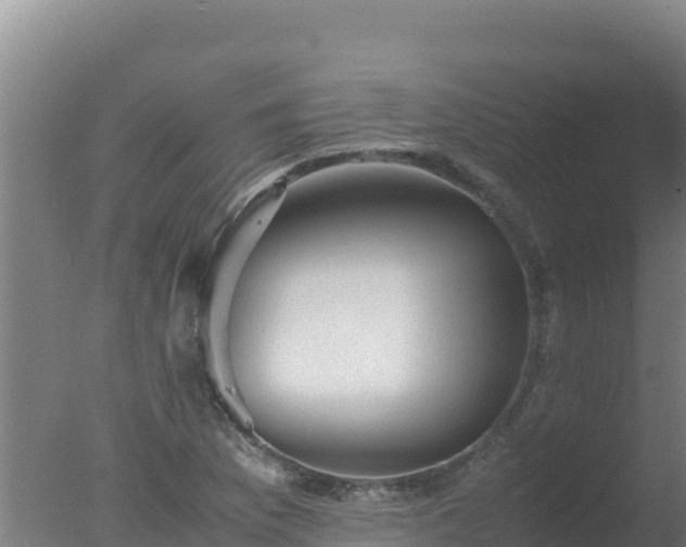 X0000077361169200610271846