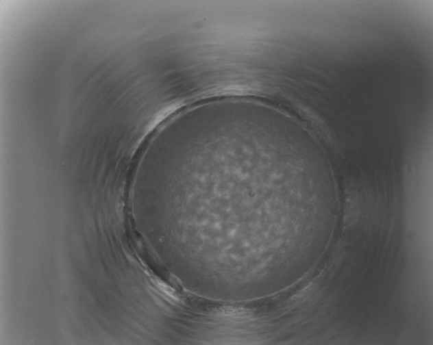 X0000077361170200610271846