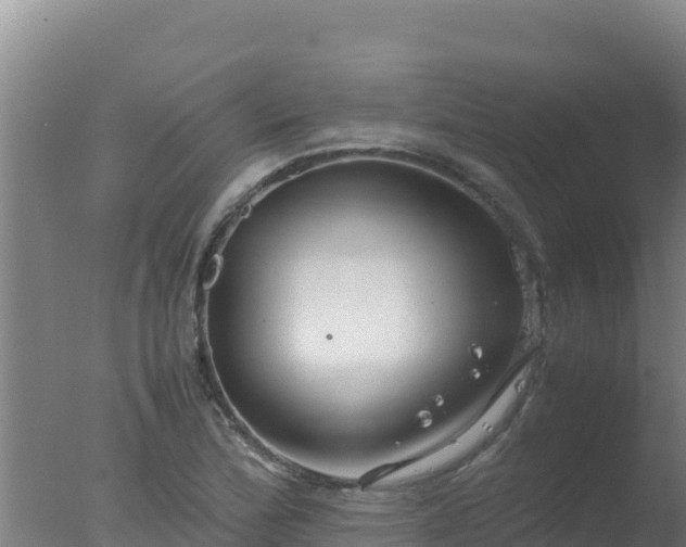 X0000077361172200610271846