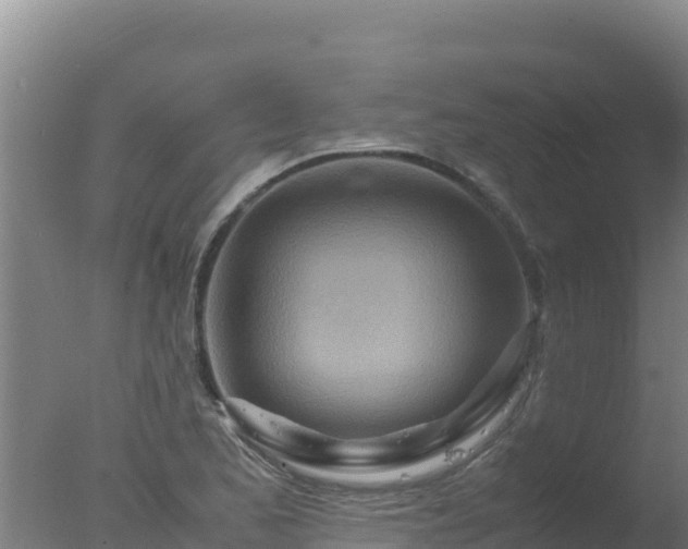 X0000077361173200610271846