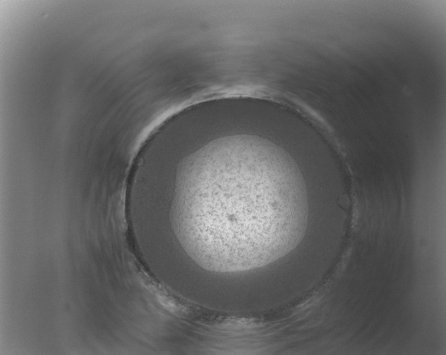 X0000077361174200610271846