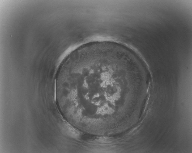 X0000077361175200610271846