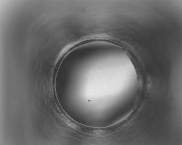 X0000077361176200610271846