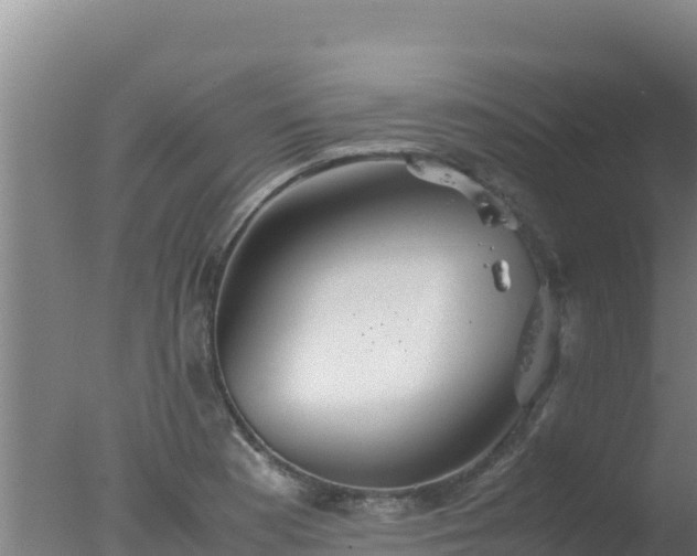 X0000077361177200610271846