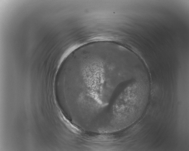 X0000077361179200610271846