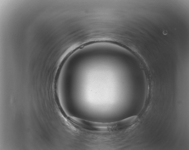 X0000077361181200610271846