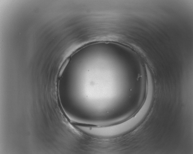 X0000077361184200610271846