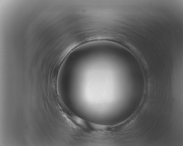 X0000077361185200610271846