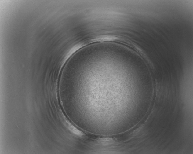 X0000077361186200610271846