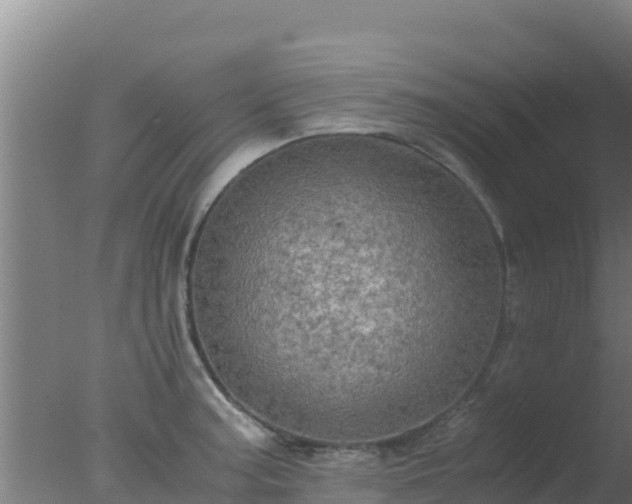 X0000077361187200610271846