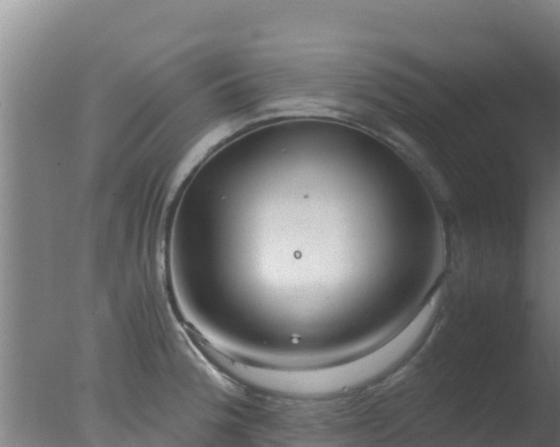 X0000077361188200610271846