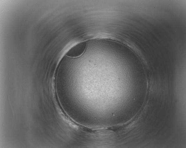 X0000077361190200610271846