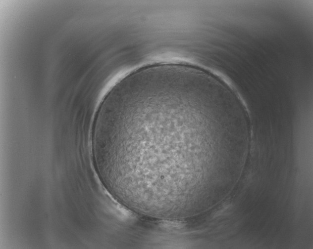 X0000077361191200610271846