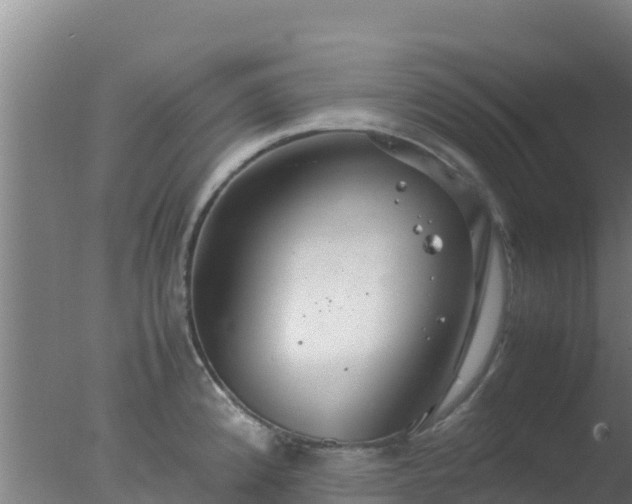 X0000077361192200610271846