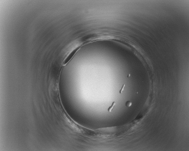 X0000077361193200610271846