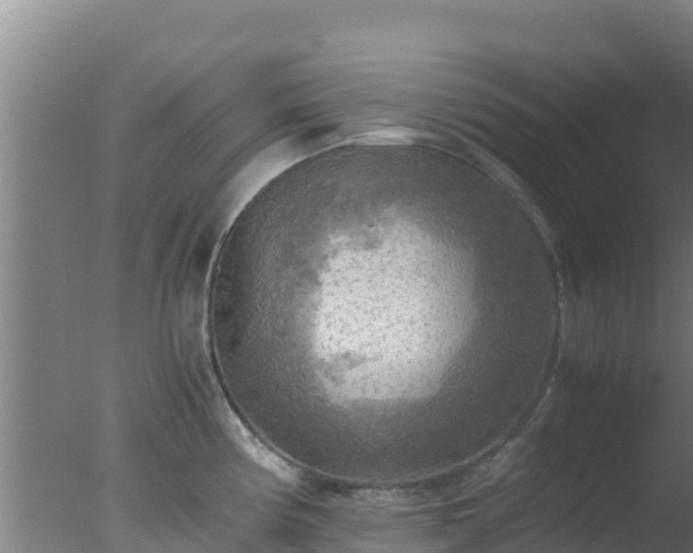 X0000077361194200610271846