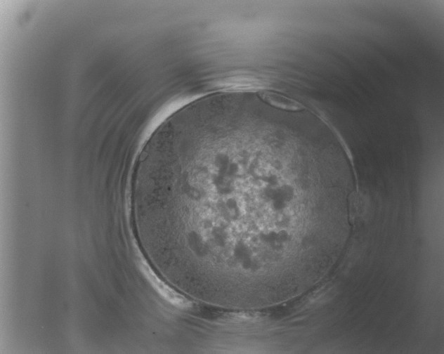 X0000077361195200610271846