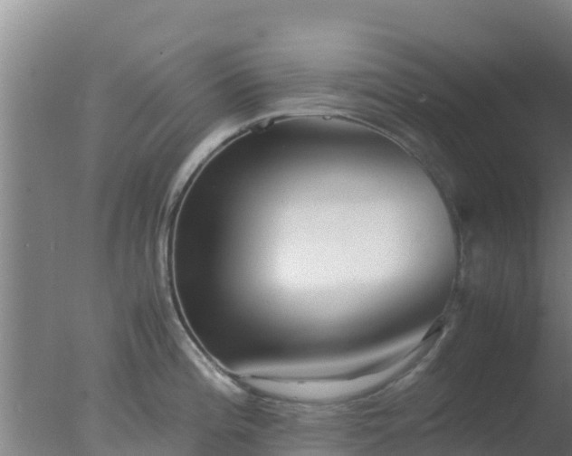 X0000077361196200610271846