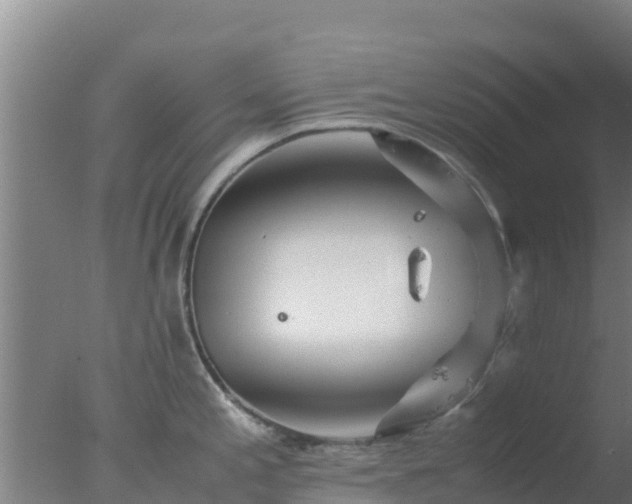 X0000077361197200610271846