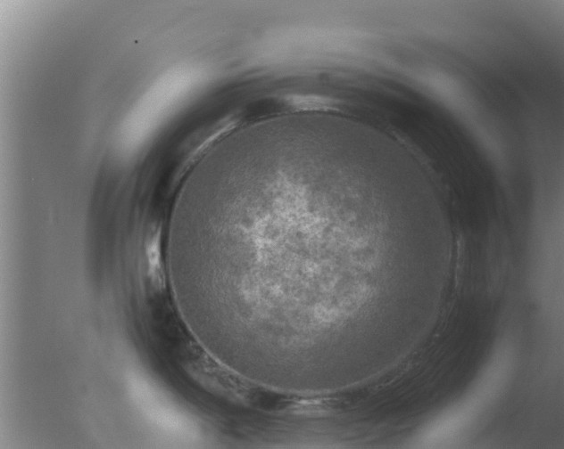 X0000077361198200610271846