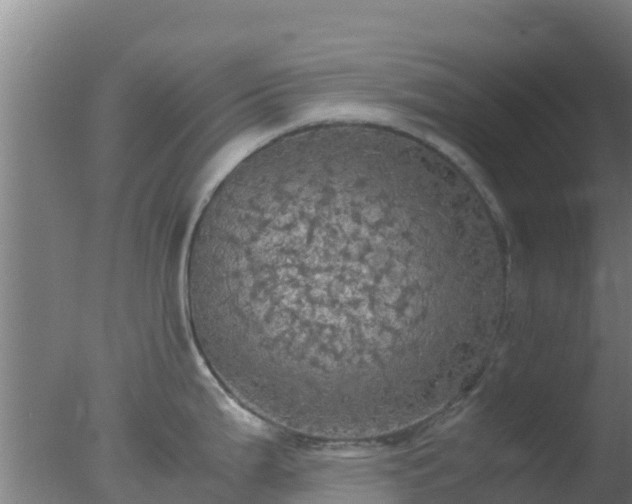 X0000077361199200610271846