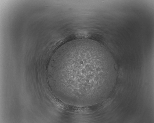 X0000077361201200610271845