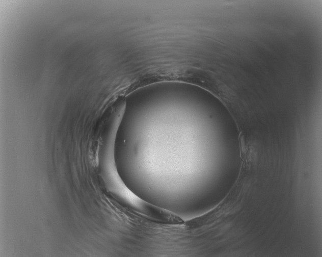 X0000077361202200610271845