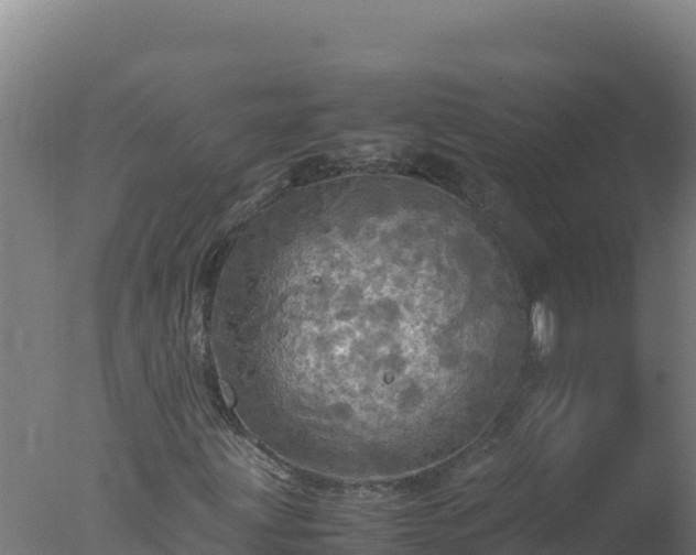 X0000077361203200610271845