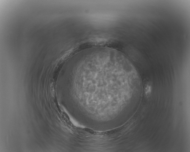 X0000077361204200610271845