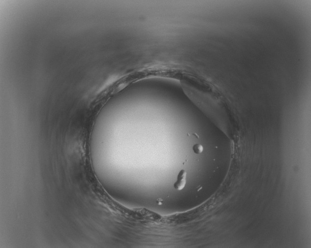 X0000077361206200610271845