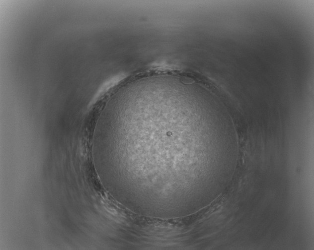 X0000077361207200610271845