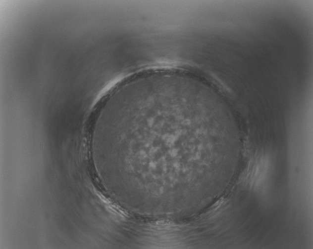 X0000077361208200610271845