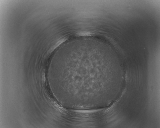 X0000077361209200610271845