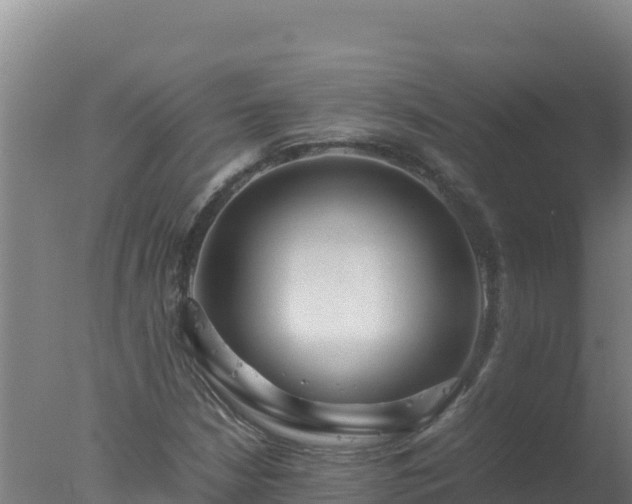 X0000077361210200610271845