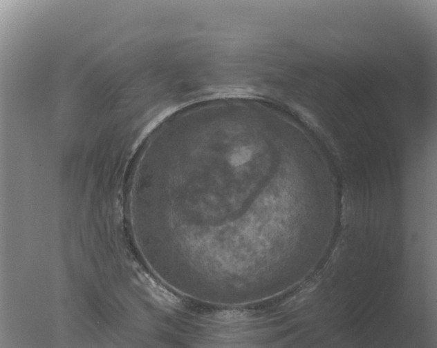 X0000077361212200610271845