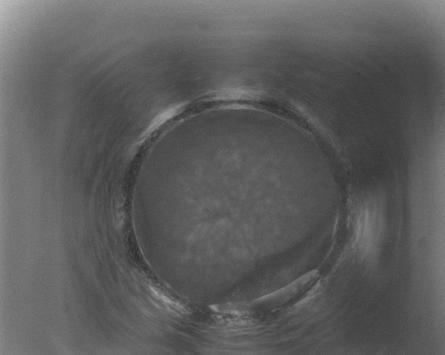 X0000077361213200610271845