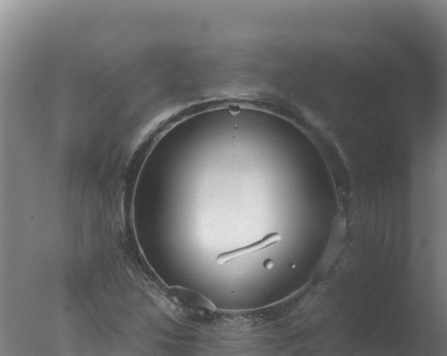 X0000077361214200610271845