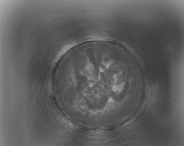 X0000077361215200610271845