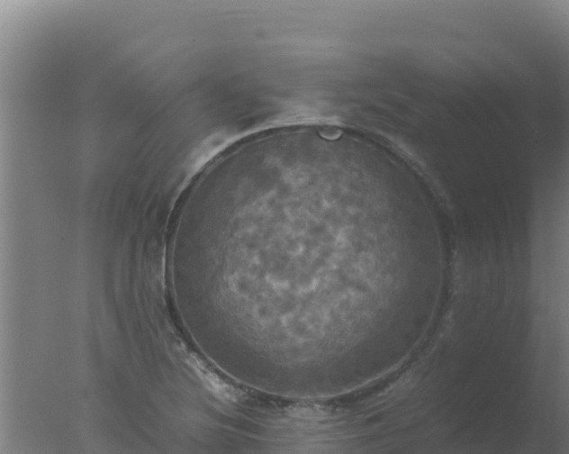 X0000077361220200610271845