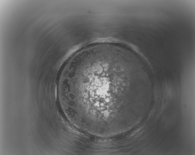 X0000077361221200610271845