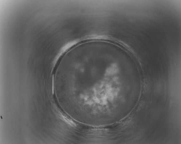 X0000077361223200610271845