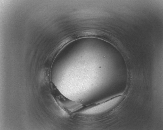 X0000077361225200610271845