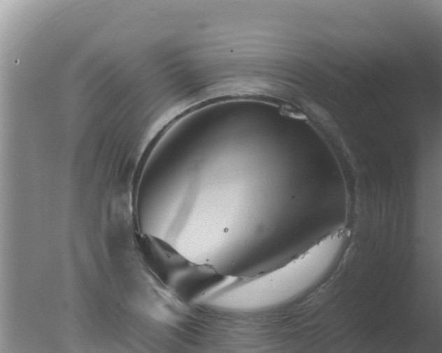 X0000077361226200610271845