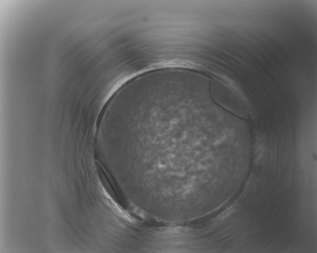 X0000077361228200610271846