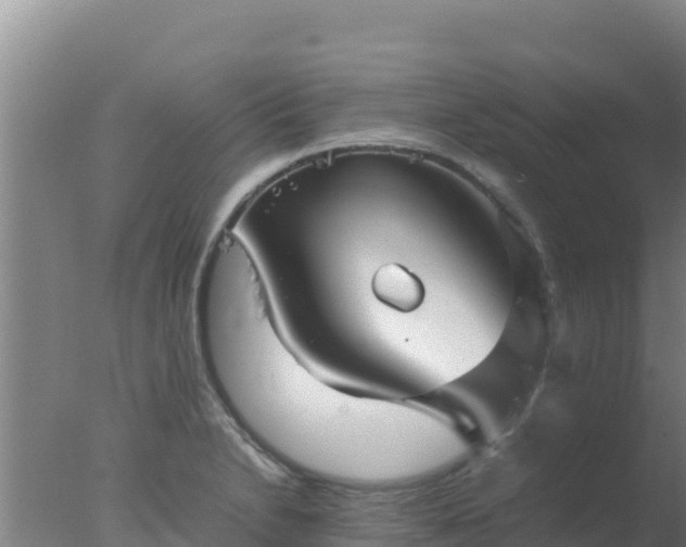 X0000077361230200610271846