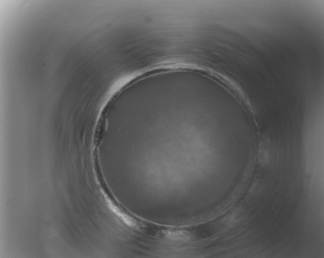 X0000077361231200610271846