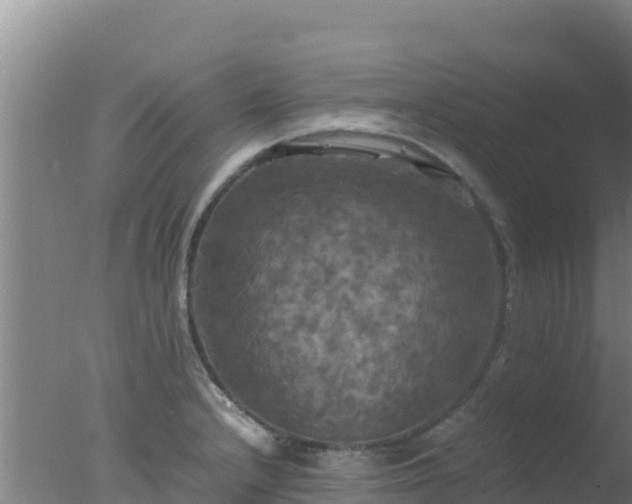 X0000077361232200610271846