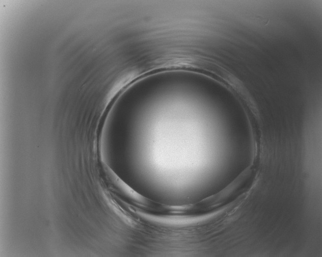 X0000077361234200610271846