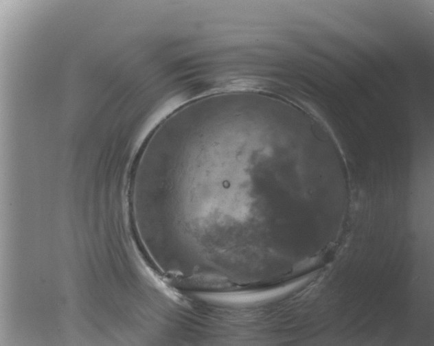 X0000077361235200610271846