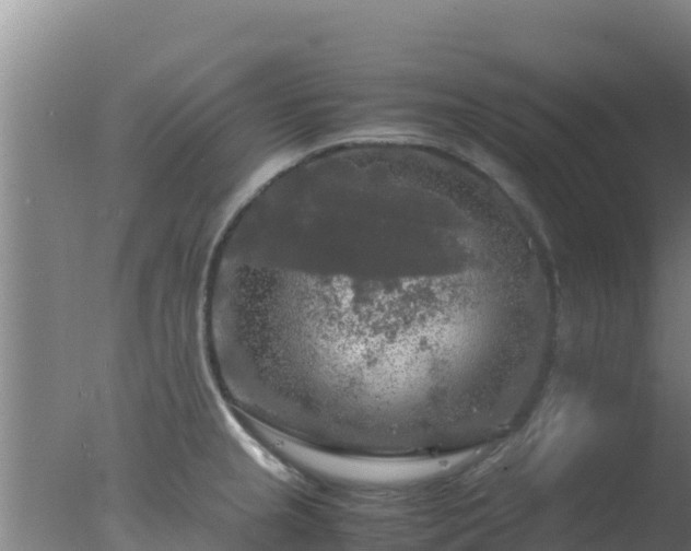 X0000077361237200610271846